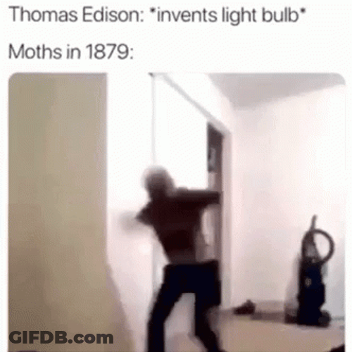 I Love Lamp GIF
