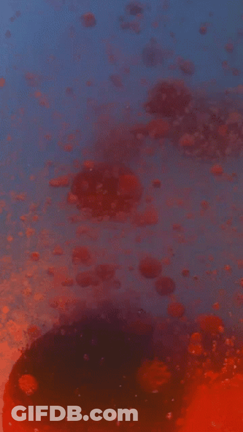 I Love Lamp GIF