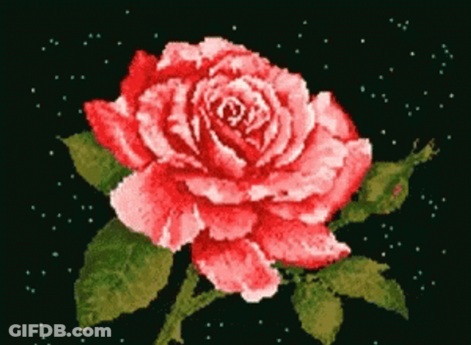 I Love Lamp GIF