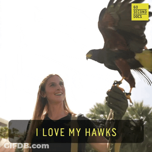 I Love My Falcon GIF