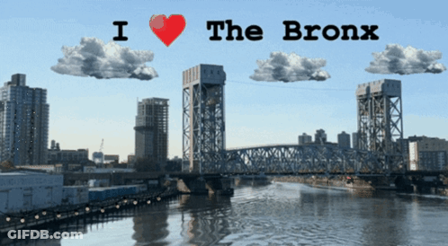 I Love The Bronx Bridge Over Water GIF