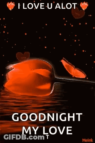 I Love U Alot Goodnight My Love Hearts And Flowers GIF
