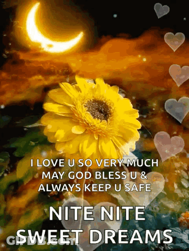 I Love U So Much God Bless Sweet Dreams GIF