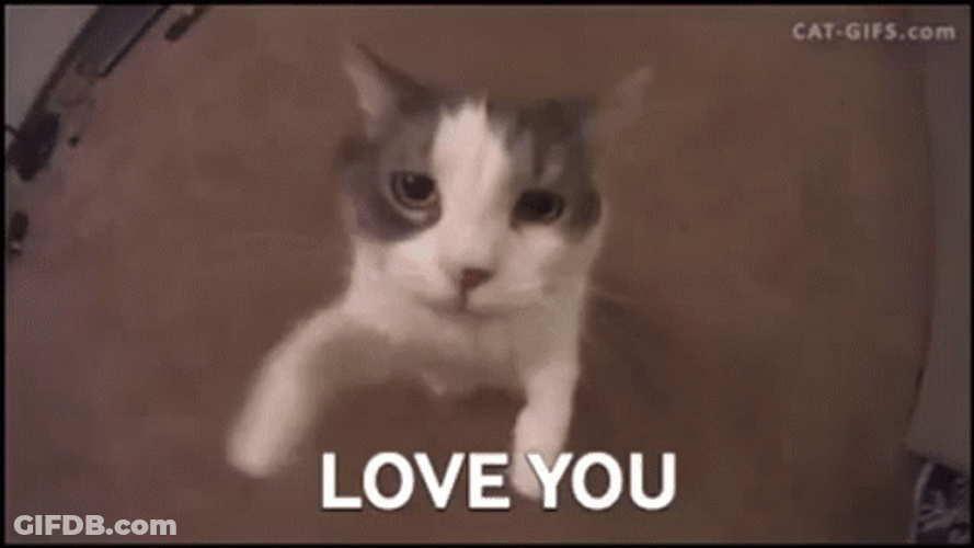 I Love U GIF