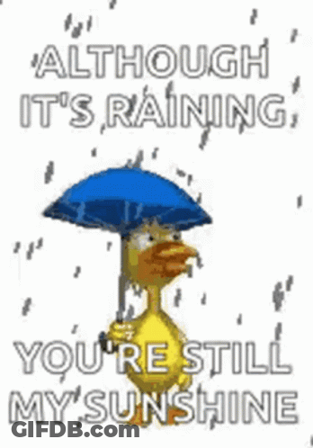 I Love When It Rains GIF