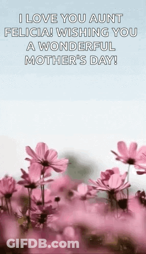 I Love You Aunt Felicia Happy Mother's Day GIF