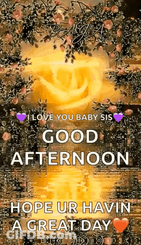 I Love You Baby Sister Good Afternoon GIF