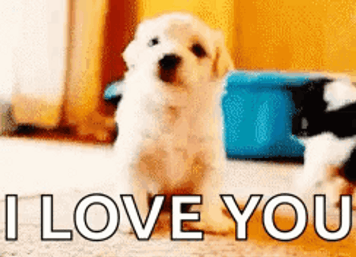 I Love You Cute Puppy Wave GIF
