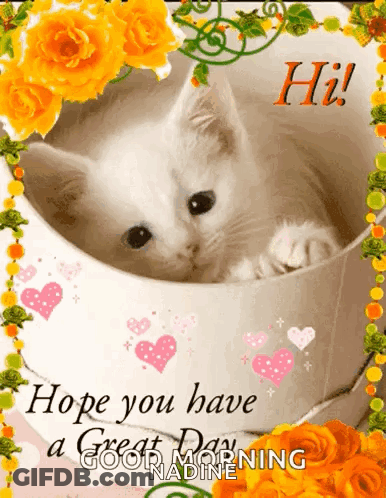 I Love You Dad Poster With Leopard Print Hat GIF