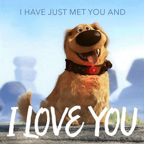 I Love You Dug GIF