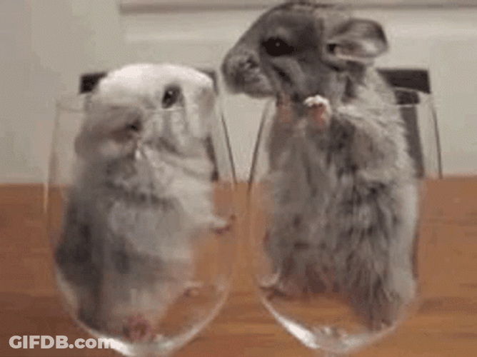 I Love You Funny Mouse Trap Kissing GIF