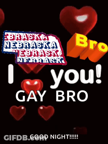 I Love You Gay Bro Sign GIF