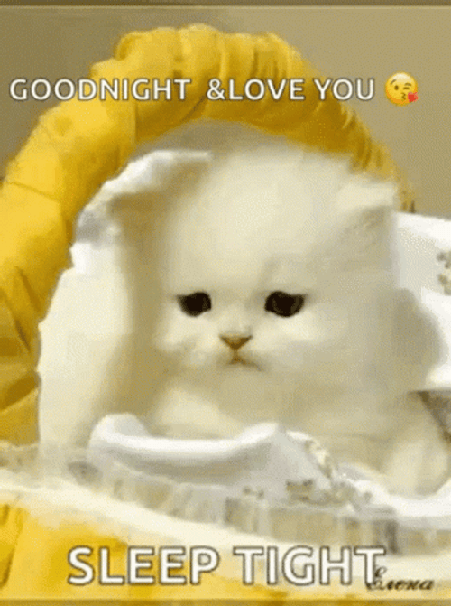 I Love You Good Night Sleepy Kitten GIF