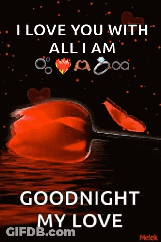 I Love You Goodnight Red Rose Hearts GIF
