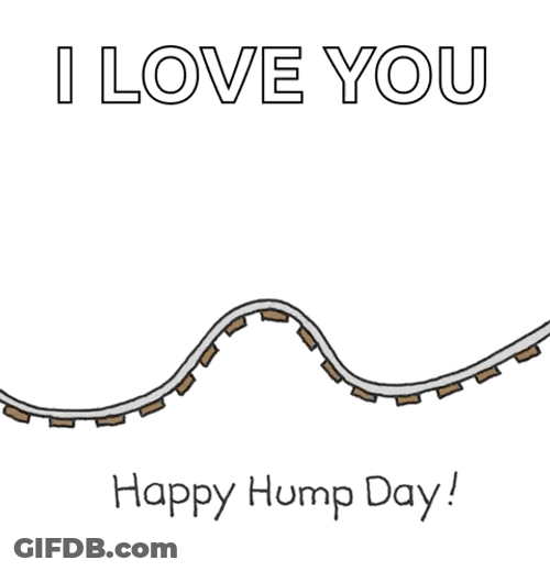 I Love You Happy Hump Day Meme GIF