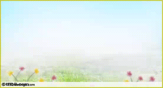 I Love You Mama Ladybug Hug GIF