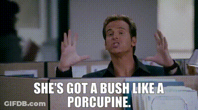 I Love You Man Got A Bush Like A Porcupine GIF