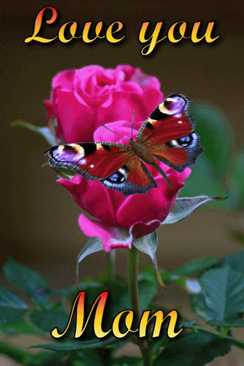 I Love You Mom Butterfly Pink Rose GIF
