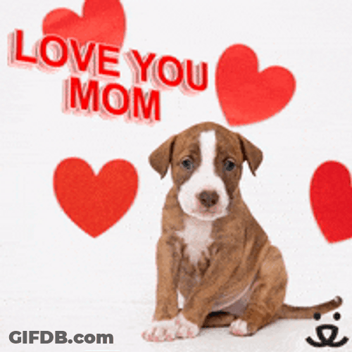 I Love You Mom Cute Puppy Hearts GIF