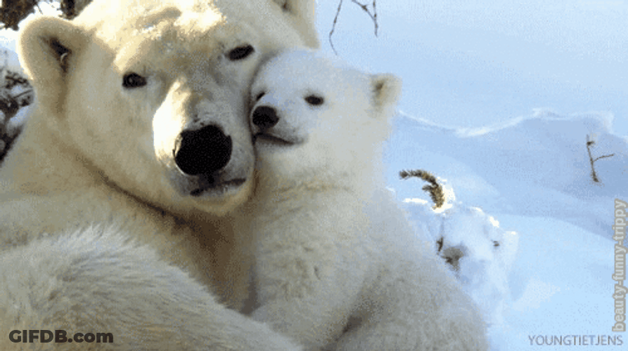 I Love You Mom Dear Bear Cuddle GIF