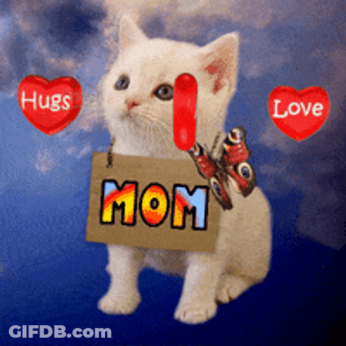 I Love You Mom Hugs Love Cute Kitten Cat GIF