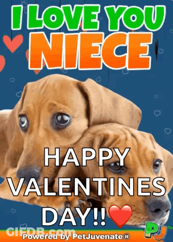 I Love You Niece Happy Valentine's Day GIF