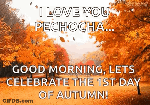 I Love You Pechocha Good Morning Let 'S Celebrate The 1St Day Of Autumn ! GIF