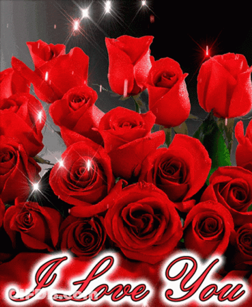 I Love You Red Roses GIF