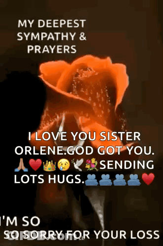 I Love You Sister Orlene God Got You Sending Lots Hugs Im So So Sorry For Your Loss GIF