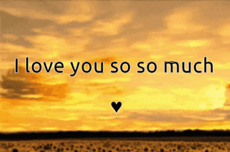 I Love You So Much Golden Sky GIF