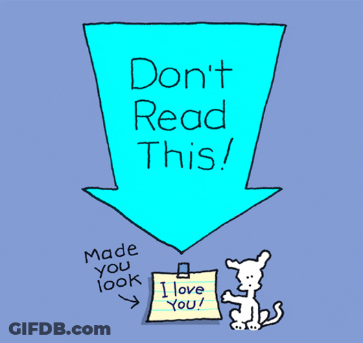 I Love You This Much Dont Read Chippy GIF