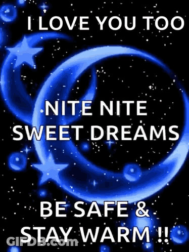 I Love You Too Nite Nite Sweet Dreams Be Safe And Stay Warm !! GIF