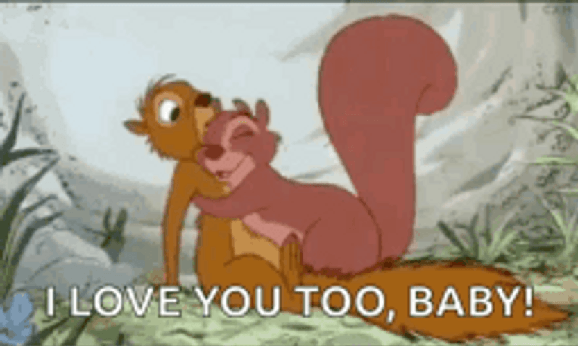 I Love You Too Squirrel Cartoons Hugging GIF