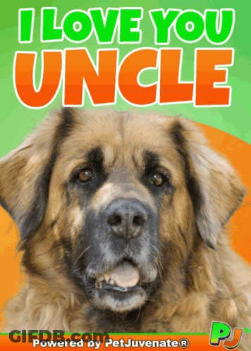 I Love You Uncle Dog Poster GIF