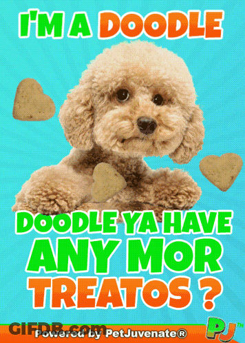 I'm A Doodle Doodle Ya Have Any More Treatos Poster GIF