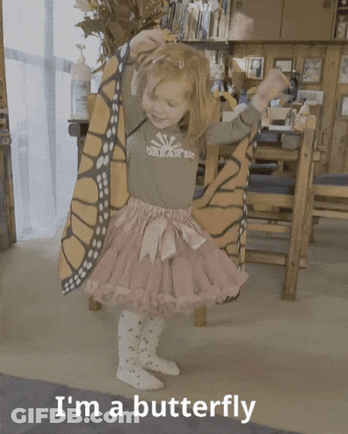 I'm A Flying Butterfly Costume GIF