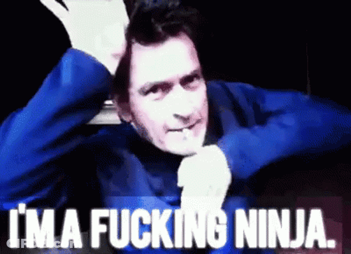 I'm A Fuckin' Ninja GIF