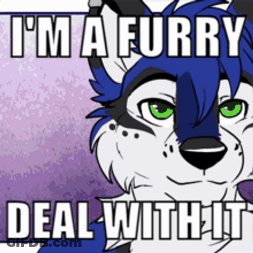 I'm A Furry Deal With It GIF