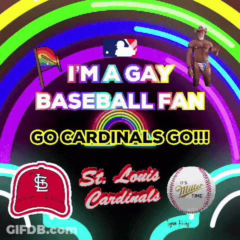 I'm A Gay Baseball Fan Poster GIF