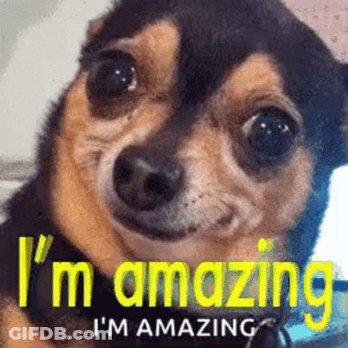 I'm Amazing Big Dawg GIF