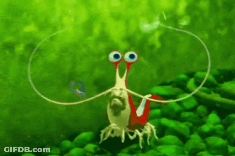 I'm Ashamed Green Shrimp GIF
