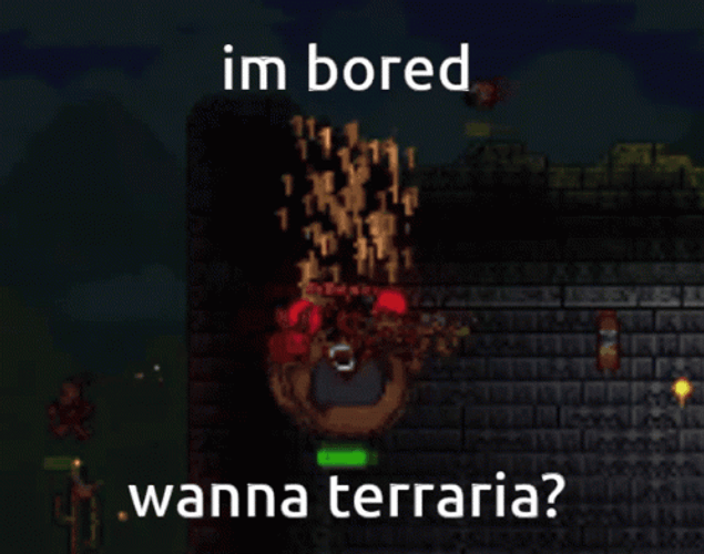 I'm Bored Wanna Terraria GIF