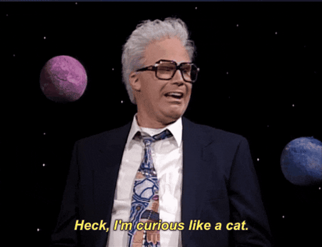 I'm Curious Like A Cat GIF