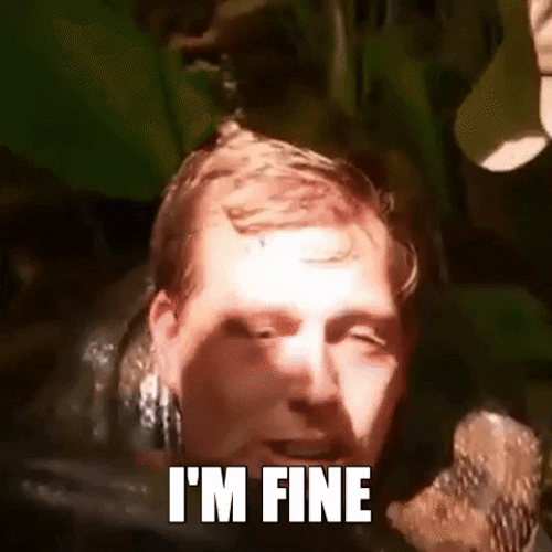 I'm Fine Being Choke By Snake GIF