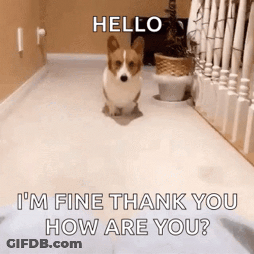 I'm Fine Corgy Dog GIF