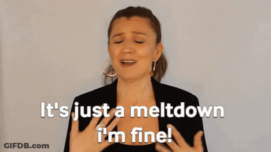 I'm Fine It's Just A Meltdown GIF