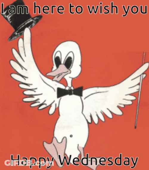 I'm Here To Hilarious Wednesday GIF