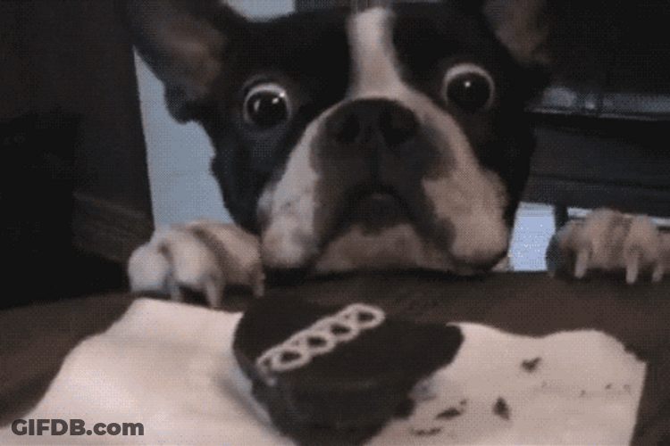 I'm Hungry Cute Dog Cupcake GIF