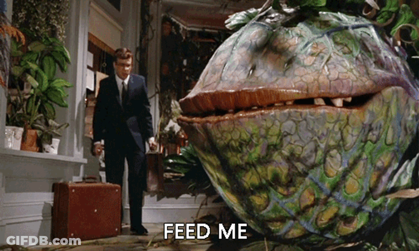 I'm Hungry Feed Me Seymour GIF
