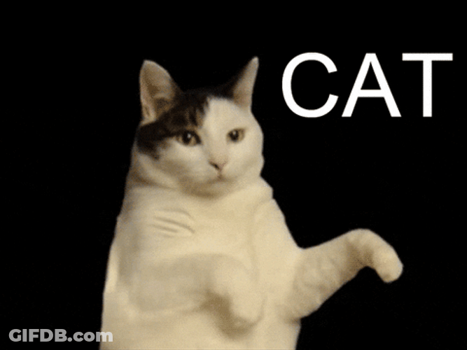 I'm Kitty Cat Breakdancing GIF